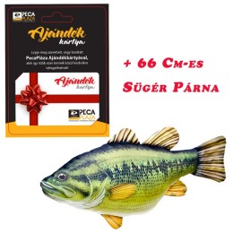 Ajándékkártya 25000 FT Feketesügér Párnával