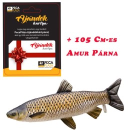 Ajándékkártya 40000 FT óriás Amur Párnával