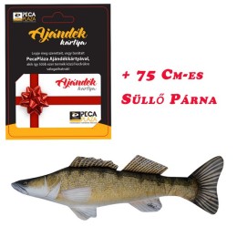 Ajándékkártya 25000 FT Süllő Párnával