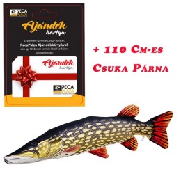 Ajándékkártya 40000 FT óriás Csuka Párnával