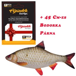 Ajándékkártya 25000 FT Bodorka Párnával