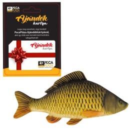 Ajándékkártya 15000 FT - Pikkelyes Ponty Baby Párnával