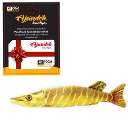 Ajándékkártya 40000 FT Grátisz Csuka Baby Párnával