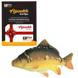 Ajándékkártya 25000 FT Ponty Párnával