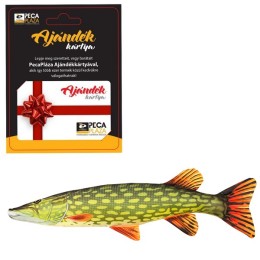 Ajándékkártya 25000 FT Csuka Párnával