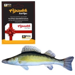 Ajándékkártya 25000 FT Süllő Párnával