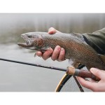 Delphin TROUTERA SoftLURE - 180cm/0.5-6g/2 rész- ÁRZUHANÁS - Image 8