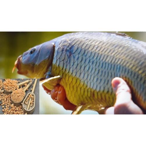 GURU HYBRID IN-LINE FEEDER Etetőkosar LARGE 28GR - Image 4