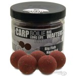 Haldorádó Carp Boilie Big Wafters 24 mm - Nagy Hal