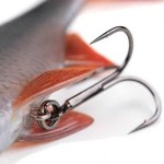 Fox rage ultra-realistic roach replicant 18cm - 80g/#1/0 swimbait - Image 6