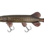 Fox rage ultra-realistic pike replicant fox rage ultra-realistic pike replicant 15cm - 30g/#4