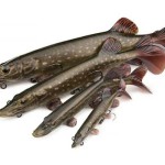 Fox rage ultra-realistic pike replicant fox rage ultra-realistic pike replicant 15cm - 30g/#4 - Image 3
