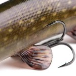 Fox rage ultra-realistic pike replicant fox rage ultra-realistic pike replicant 15cm - 30g/#4 - Image 5