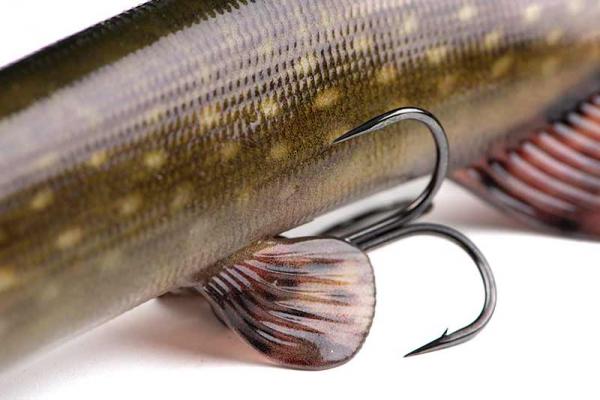 Fox rage ultra-realistic pike replicant fox rage ultra-realistic pike replicant 15cm - 30g/#4 - Image 5