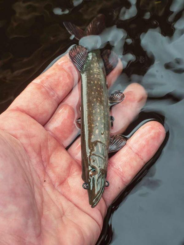 Fox rage ultra-realistic pike replicant fox rage ultra-realistic pike replicant 15cm - 30g/#4 - Image 8