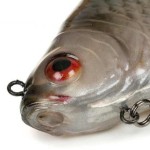 Fox rage ultra natural replicants "ultra natural roach replicant 23cm 9""" - Image 11