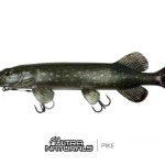 Fox rage ultra natural replicants "ultra natural perch replicant 23cm 9""" - Image 8