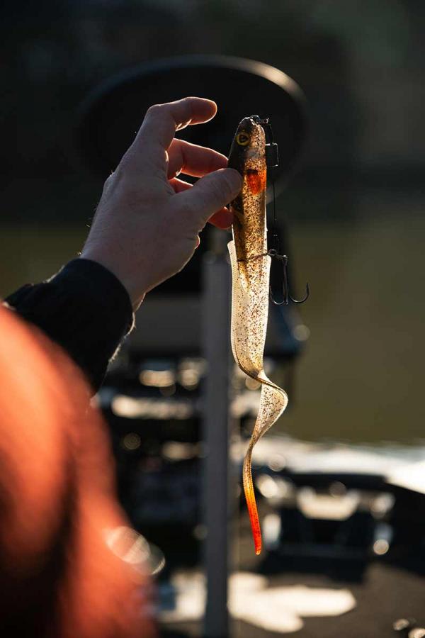 Fox rage slick eel loaded "28cm/11"" size 1/0 - uv hot olive" - Image 7