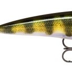 Rapala x-rap xr10 pel (live perch) wobbler