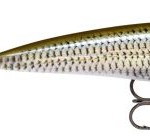 Rapala x-rap xr10 rol (live roach) wobbler