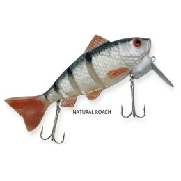 Rapture Dancer Perch wobbler natural Roach 16cm 60g