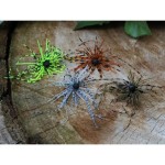 Rapture Tg Finesse Rub.Jig 1,7 g #01 Watermelon 1db műcsali - Image 2
