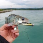REIVA Reiva Ultra Strong Jig Head 6/0 28g 3db/cs - Image 3