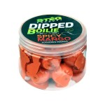 STÉG Dipped boilie 100g 20mm Fűszeres Mangó