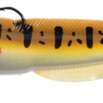 Jaxon intensa troll 101a a 23cm 76g/206g