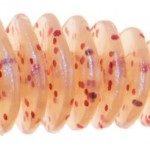 Jaxon intensa robak soft lures f 4,0cm f soft bait