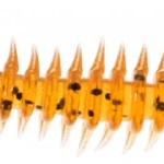 Jaxon intensa paproch nymph soft lures a 5,0cm a soft bait