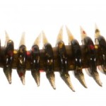 Jaxon intensa paproch nymph soft lures f 5,0cm f soft bait