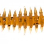 Jaxon intensa paproch nymph soft lures g 5,0cm g soft bait