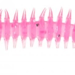 Jaxon intensa paproch nymph soft lures m 5,0cm m soft bait