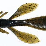 Jaxon owner yuki bug 05 10,0cm