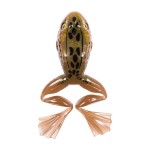 Livetarget Freestyle Frog 2.0 Floating - Image 25