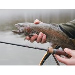 Delphin TROUTERA SoftLURE - 180cm/0.5-6g/2 rész - Image 15