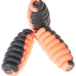 Jaxon robak duo pop-up (citrus) 8mm - Image 2
