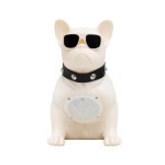 SAL BT DOG hordozható multimédia-hangszóró, 5 W, BT, FM rádió, ~5 óra üzemidő, USB, MicroSD - Image 5