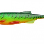 Jaxon intensa tryton soft lures d 12,5cm