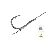 Delphin Braided Sting Feeder Rig / 10db - 12cm/0,14mm/Chinu #8 - Image 2