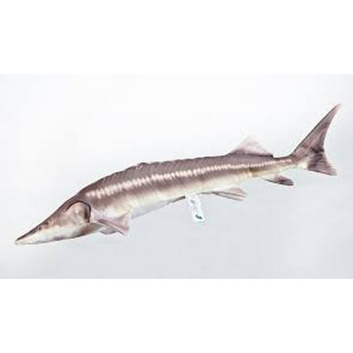 HALASPÁRNA KECSEGE– NEW 60CM