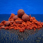 Baitbait ébredő erő (erősen fűszeres) - 24mm tartósított bojli