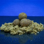 Baitbait mentor (tintahal-polip) - 24mm tartósított bojli