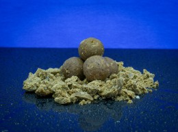 Baitbait mentor (tintahal-polip) - 24mm tartósított bojli