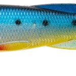 Jaxon intensa tryton soft lures f 15cm