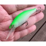 Babyface SH60-SP 60mm 5gr 4 Ayu wobbler - Image 2