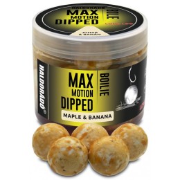 Haldorádó Max Motion Boilie Dipped 20mm - Juhar & Banán, dippelt bojli 80g