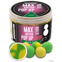 Haldorádó Max Motion Boilie Pop Up 16mm Limited Edition - Amur 50g