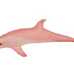Halas Párna Delfin Pink - Image 2